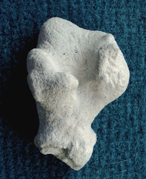 Locality: Alemannia, Höver;
Height: 50 mm