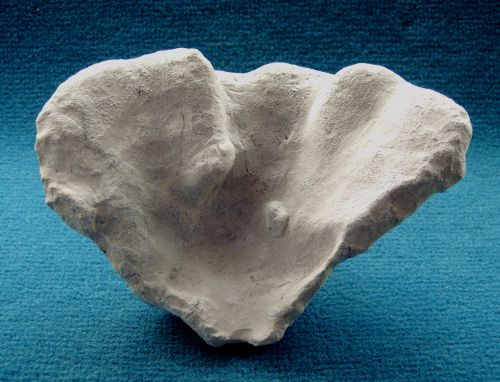 Locality. Teutonia, Misburg
Width: 140 mm