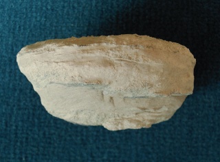 Locality: Teutonia, Misburg
Width: 70 mm