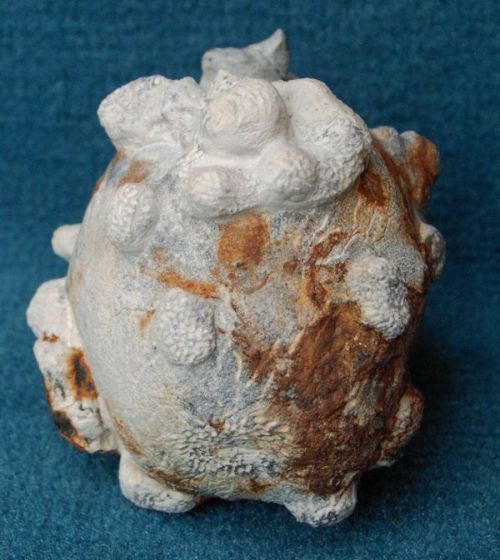 Locality. Teutonia, Misburg
Width: 60 mm
