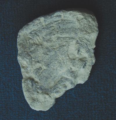 Locality: Teutonia, Misburg
Width: 60 mm