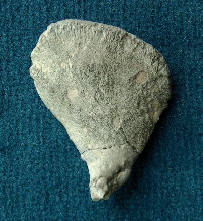 Locality: Teutonia, Misburg
Width: 40 mm