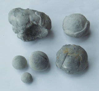 Locality: Teutonia, Misburg
Diameters: 8 to 50 mm