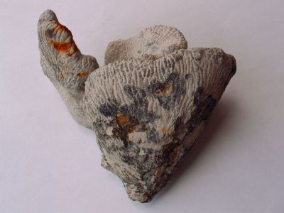 Locality: Teutonia, Misburg
Width: 110 mm