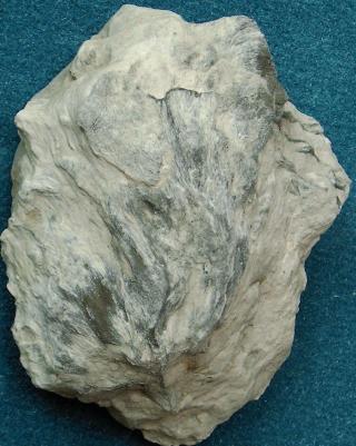 Locality: Teutonia, Misburg
Height: 80 mm